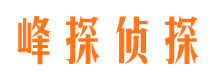 黑山侦探公司